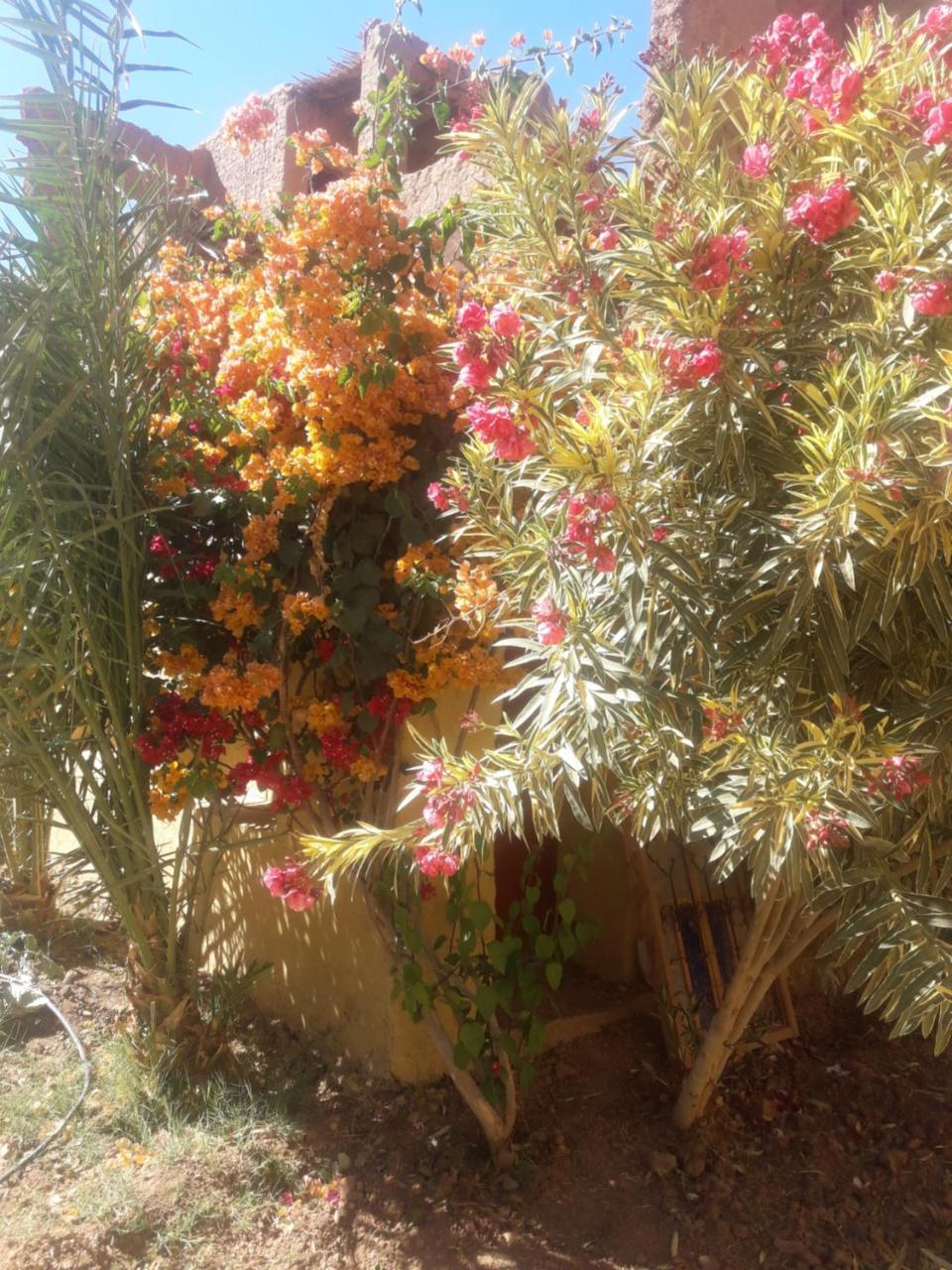 Kasbah Timidarte Hotel Zaouita Bou Lhassane Exterior foto